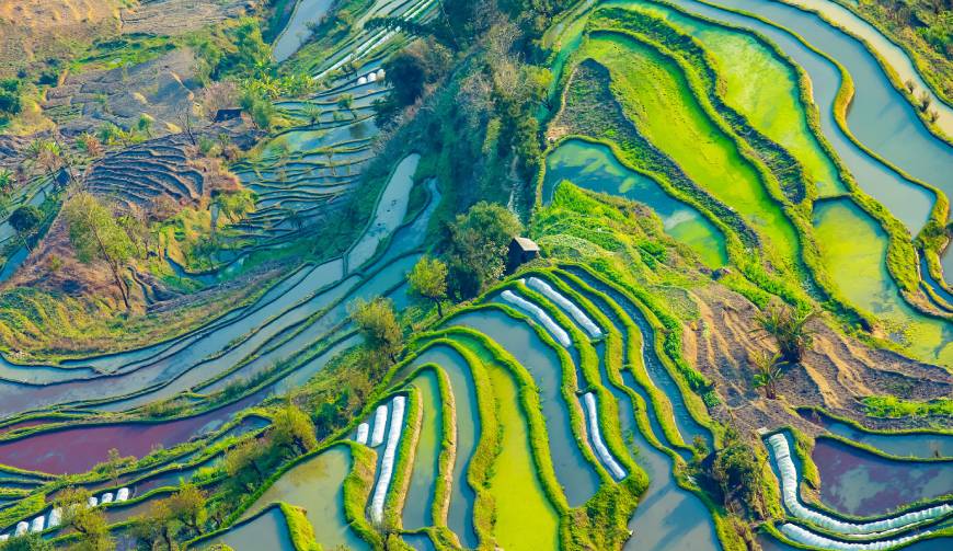 宝妈必备神器：凤台县产品视频拍摄轻松育儿好帮手