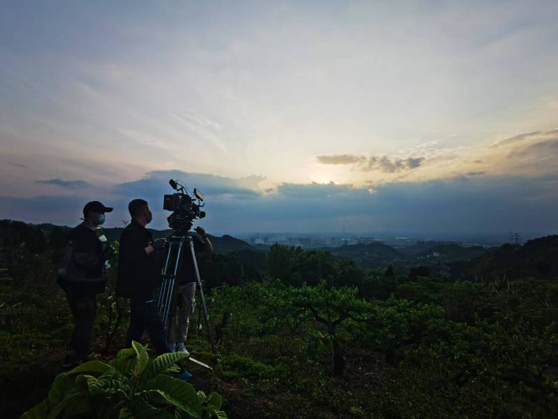 聚焦凤台县产品宣传视频拍摄公司，用专业实力铸就品牌传播传奇